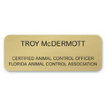 Engraved Executive Brass Badge (6-10 Square Inch)